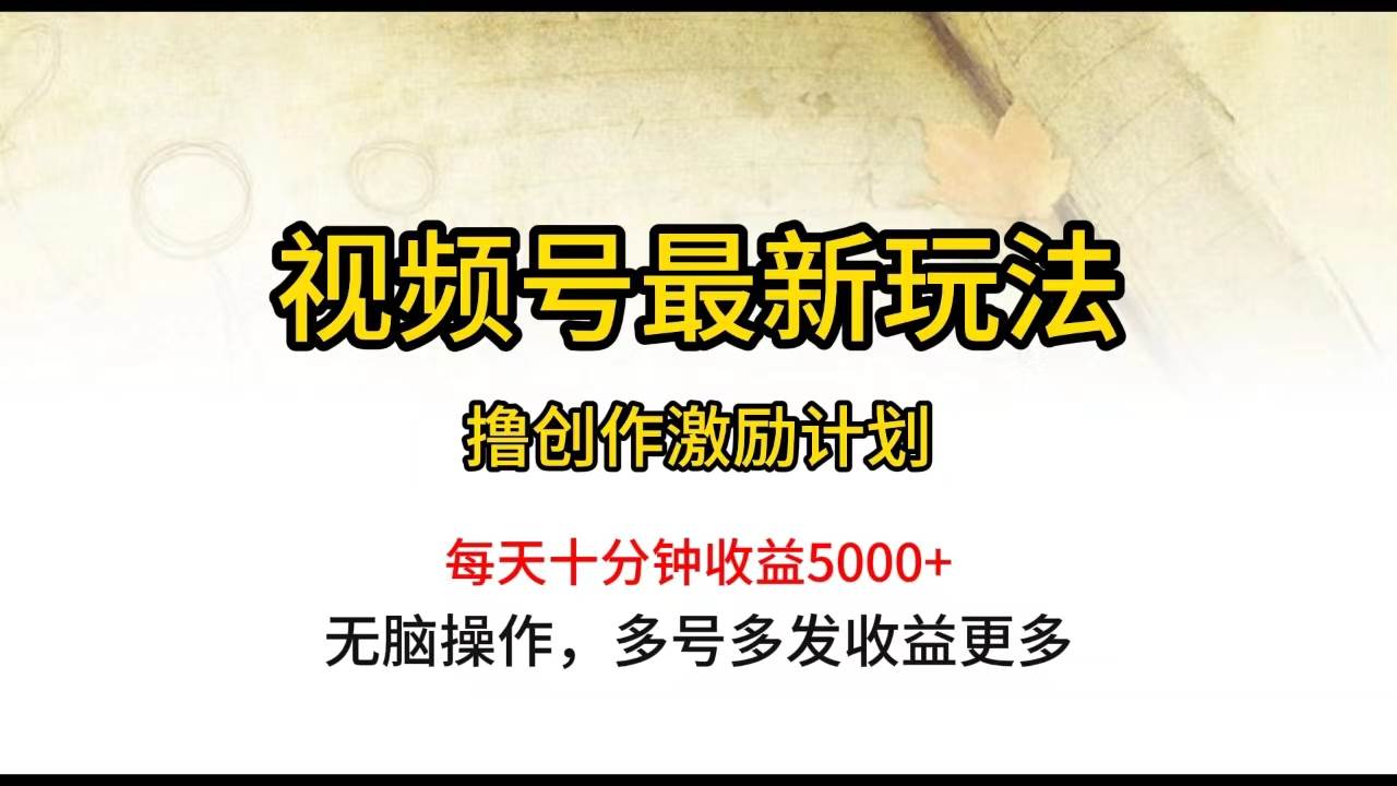 视频号最新玩法，每日一小时月入5000+-石龙大哥笔记