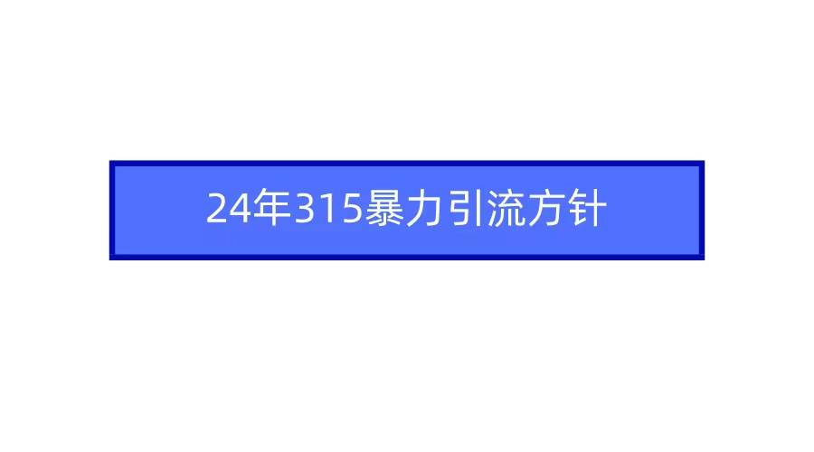 2024年315暴力引流方针-石龙大哥笔记