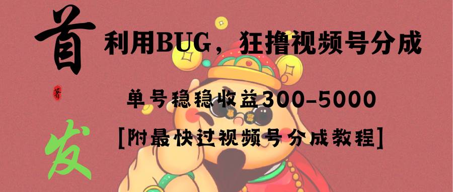 全网独家首发，视频号BUG，超短期项目，单号每日净收益300-5000！-石龙大哥笔记