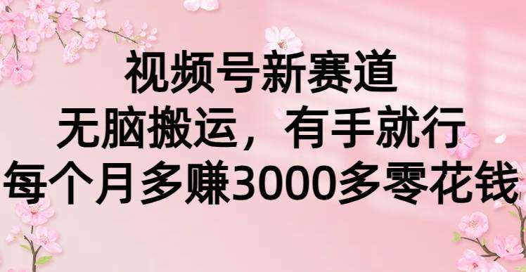 视频号新赛道，无脑搬运，有手就行，每个月多赚3000多零花钱-石龙大哥笔记