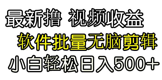 发视频撸收益，软件无脑批量剪辑，第一天发第二天就有钱-石龙大哥笔记