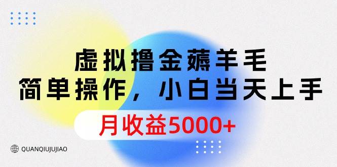 虚拟撸金薅羊毛，简单操作，小白当天上手，月收益5000+-石龙大哥笔记