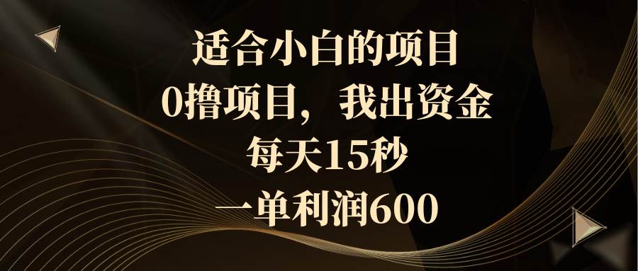 适合小白的项目，0撸项目，我出资金，每天15秒，一单利润600-石龙大哥笔记