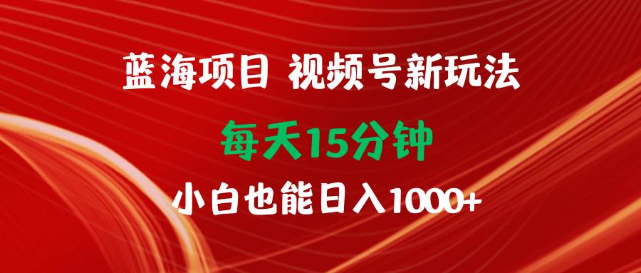 蓝海项目视频号新玩法 每天15分钟 小白也能日入1000+-石龙大哥笔记