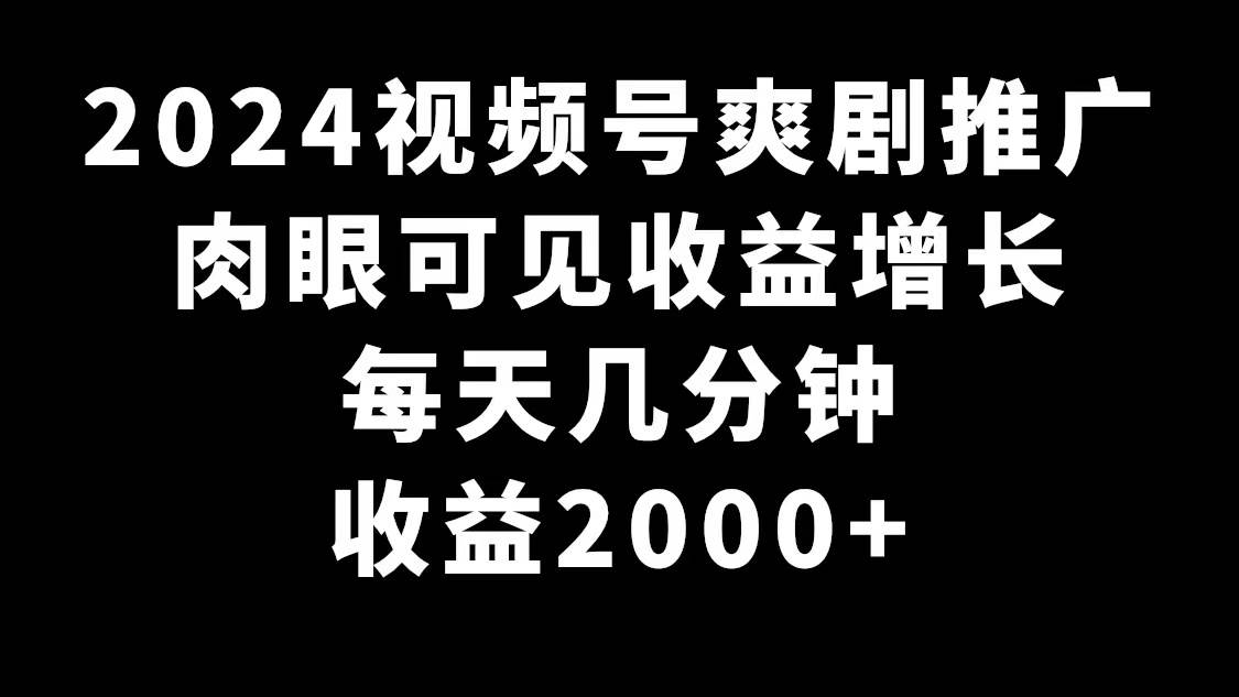 2024视频号爽剧推广，肉眼可见的收益增长，每天几分钟收益2000+-石龙大哥笔记