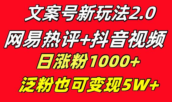 文案号新玩法 网易热评+抖音文案 一天涨粉1000+ 多种变现模式 泛粉也可变现-石龙大哥笔记