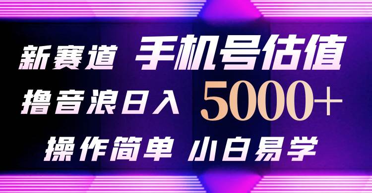 抖音不出境直播【手机号估值】最新撸音浪，日入5000+，简单易学，适合…-石龙大哥笔记