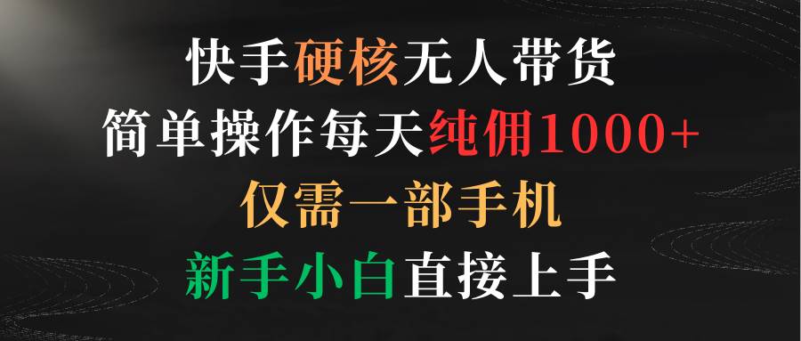 快手硬核无人带货，简单操作每天纯佣1000+,仅需一部手机，新手小白直接上手-石龙大哥笔记