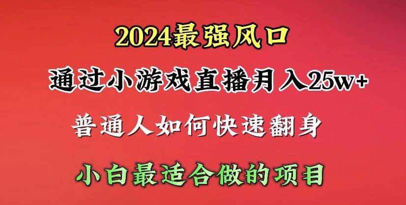 2024年最强风口，通过小游戏直播月入25w+单日收益5000+小白最适合做的项目-石龙大哥笔记