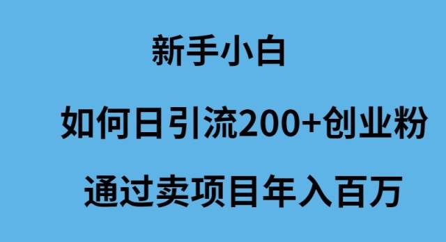 新手小白如何日引流200+创业粉通过卖项目年入百万-石龙大哥笔记