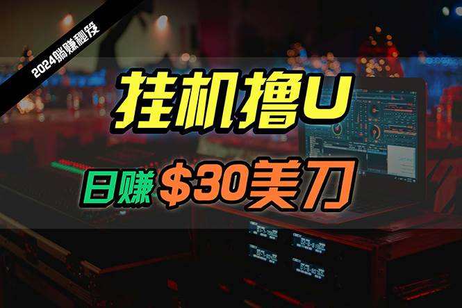 日赚30美刀，2024最新海外挂机撸U内部项目，全程无人值守，可批量放大-石龙大哥笔记