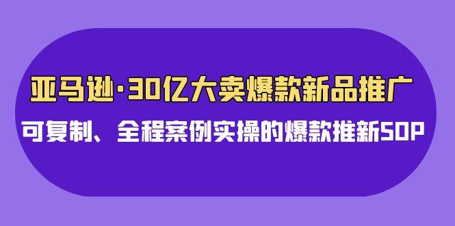 亚马逊30亿·大卖爆款新品推广，可复制、全程案例实操的爆款推新SOP-石龙大哥笔记