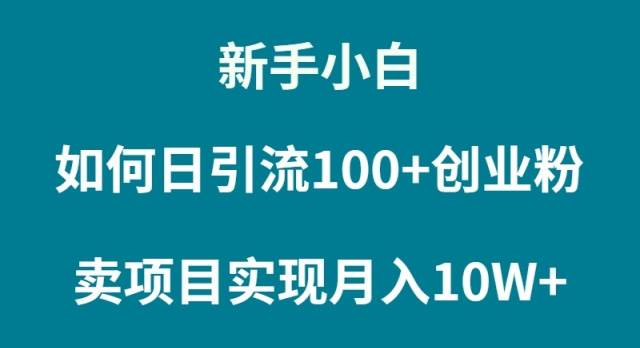 新手小白如何通过卖项目实现月入10W+-石龙大哥笔记