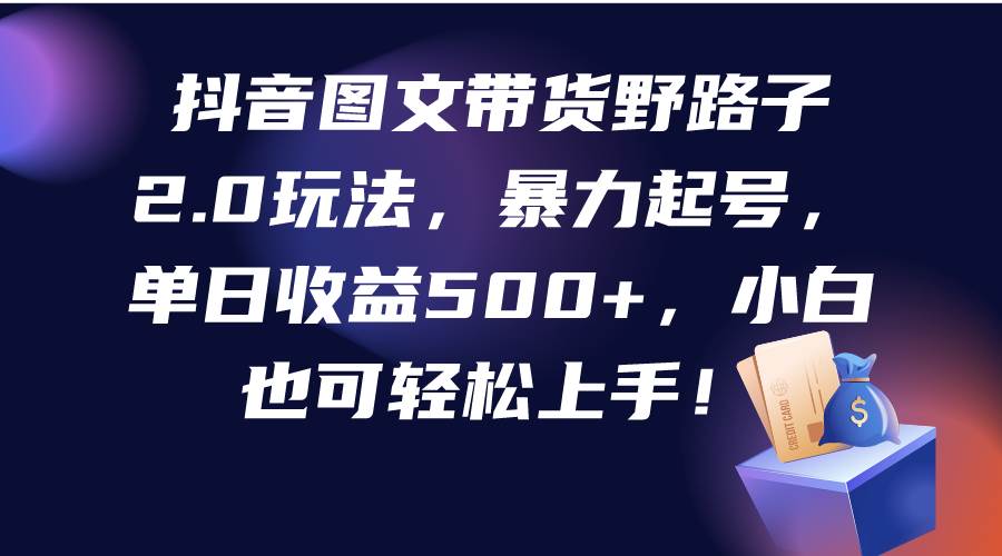 抖音图文带货野路子2.0玩法，暴力起号，单日收益500+，小白也可轻松上手！-石龙大哥笔记