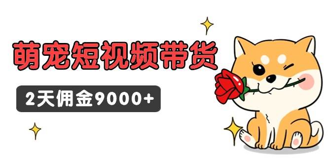 东哲日记·萌宠短视频带货，2天佣金9000+-石龙大哥笔记