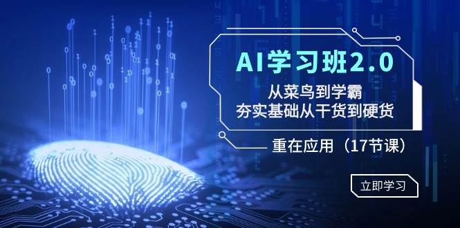 AI学习班2.0：从菜鸟到学霸，夯实基础从干货到硬货，重在应用（17节课）-石龙大哥笔记