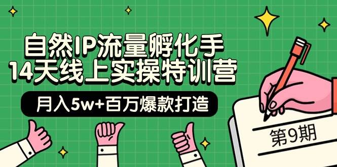 自然IP流量孵化手 14天线上实操特训营【第9期】月入5w+百万爆款打造 (74节)-石龙大哥笔记