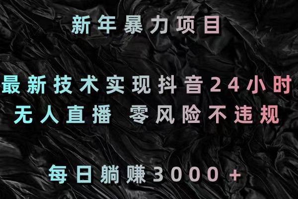 新年暴力项目，最新技术实现抖音24小时无人直播 零风险不违规 每日躺赚3000-石龙大哥笔记