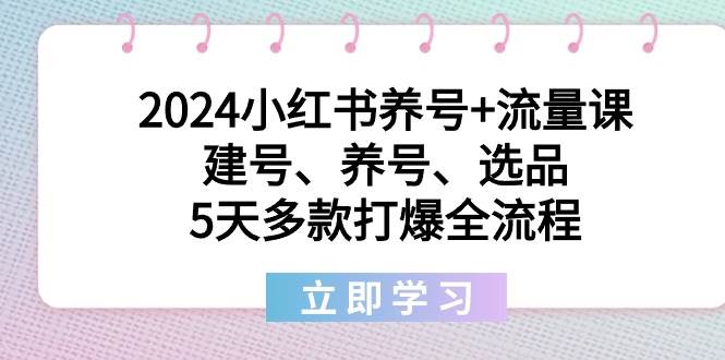 2024小红书养号+流量课：建号、养号、选品，5天多款打爆全流程-石龙大哥笔记