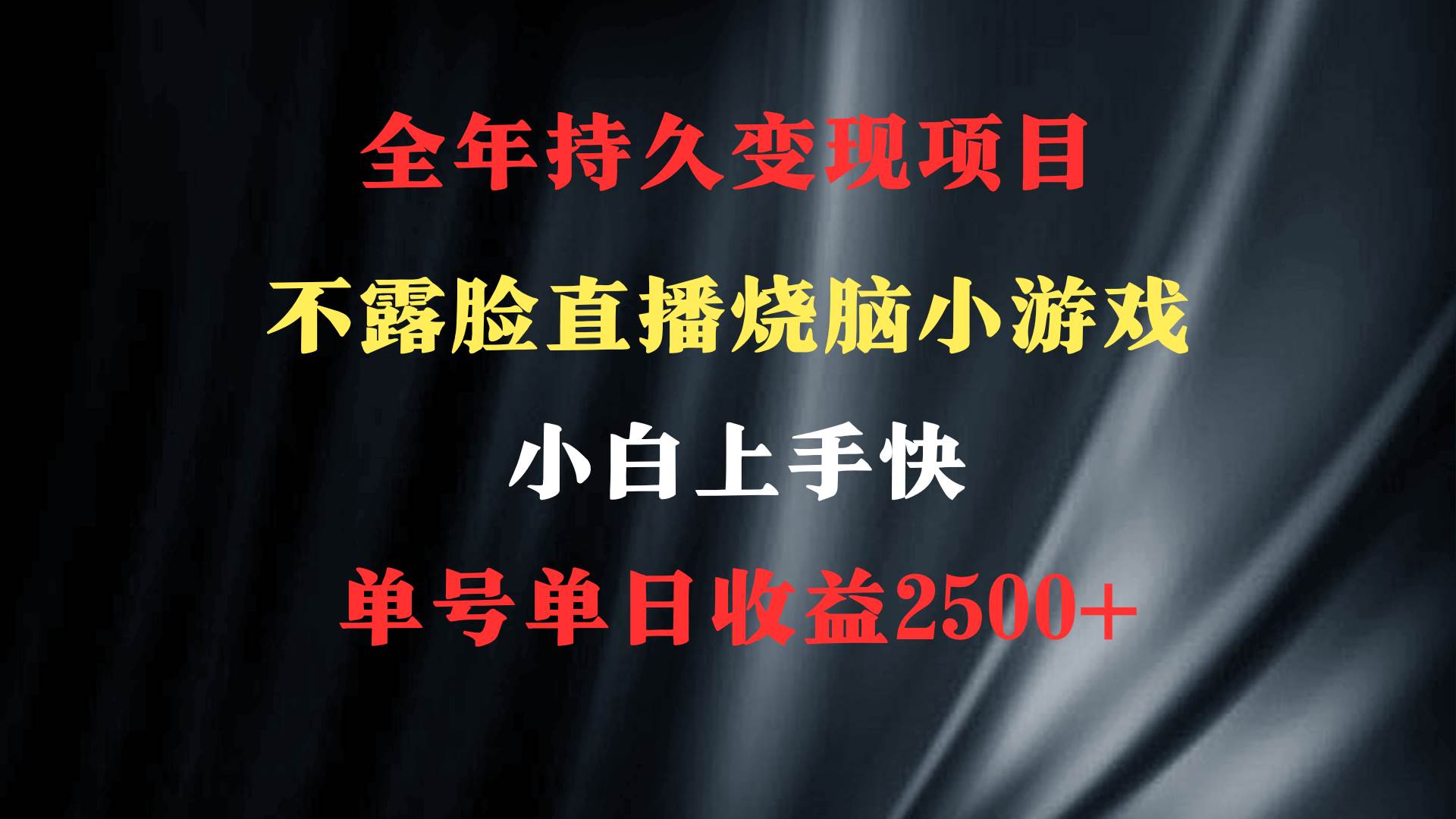 2024年 最优项目，烧脑小游戏不露脸直播  小白上手快 无门槛 一天收益2500+-石龙大哥笔记