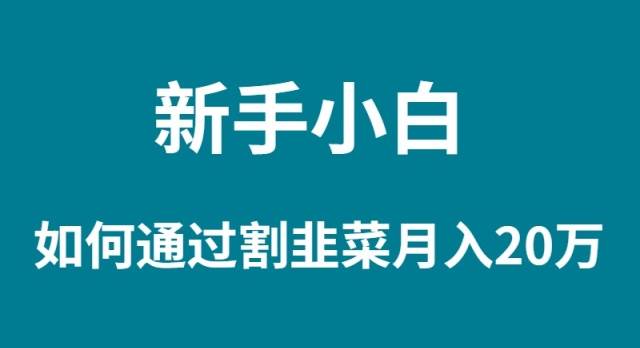 新手小白如何通过割韭菜月入 20W-石龙大哥笔记