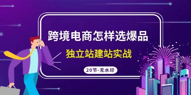 跨境电商怎样选爆品，独立站建站实战（20节高清无水印课）-石龙大哥笔记