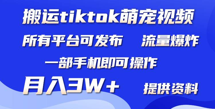 搬运Tiktok萌宠类视频，一部手机即可。所有短视频平台均可操作，月入3W+-石龙大哥笔记