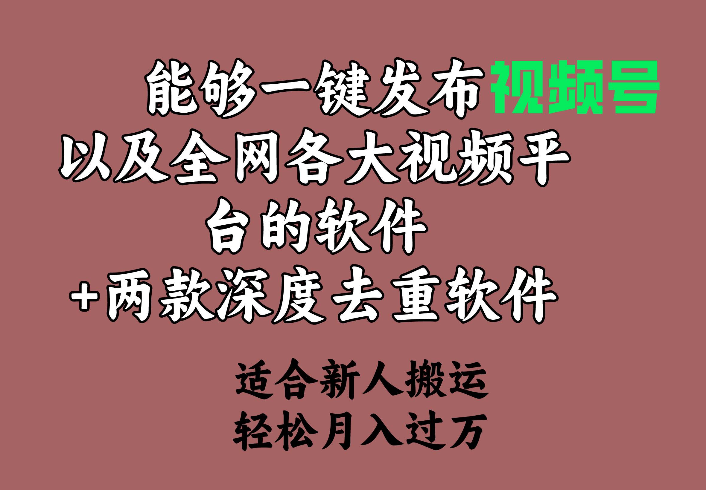 能够一键发布视频号以及全网各大视频平台的软件+两款深度去重软件 适合…-石龙大哥笔记