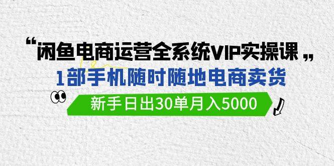 闲鱼电商运营全系统VIP实战课，1部手机随时随地卖货，新手日出30单月入5000-石龙大哥笔记