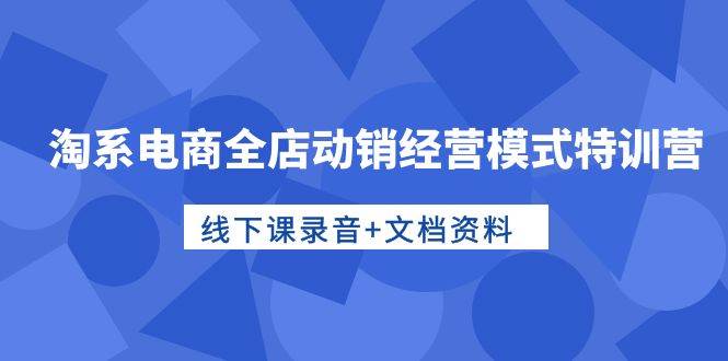 淘系电商全店动销经营模式特训营，线下课录音+文档资料-石龙大哥笔记