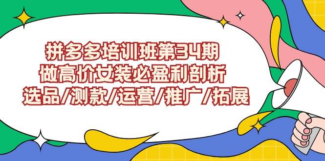 拼多多培训班第34期：做高价女装必盈利剖析  选品/测款/运营/推广/拓展-石龙大哥笔记