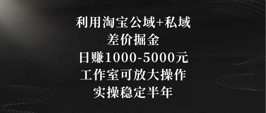 利用淘宝公域+私域差价掘金，日赚1000-5000元，工作室可放大操作，实操…-石龙大哥笔记