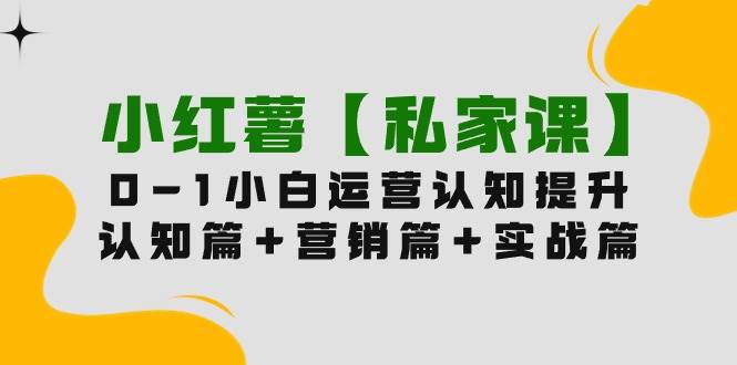 小红薯【私家课】0-1玩赚小红书内容营销，认知篇+营销篇+实战篇（11节课）-石龙大哥笔记