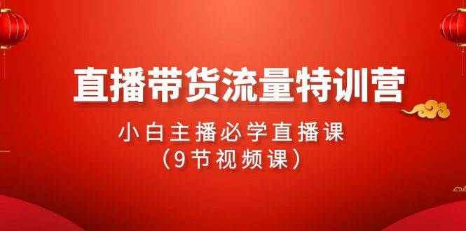 2024直播带货流量特训营，小白主播必学直播课（9节视频课）-石龙大哥笔记