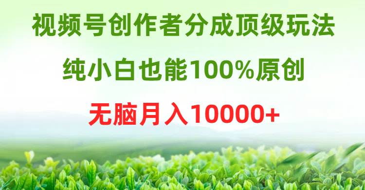 视频号创作者分成顶级玩法，纯小白也能100%原创，无脑月入10000+-石龙大哥笔记