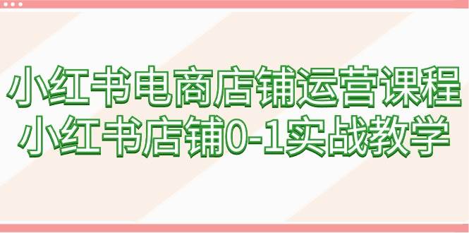 小红书电商店铺运营课程，小红书店铺0-1实战教学（60节课）-石龙大哥笔记