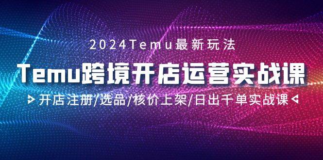 2024Temu跨境开店运营实战课，开店注册/选品/核价上架/日出千单实战课-石龙大哥笔记