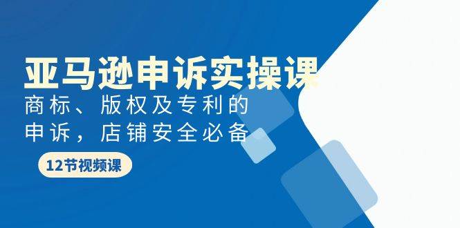 亚马逊-申诉实战课，商标、版权及专利的申诉，店铺安全必备-石龙大哥笔记