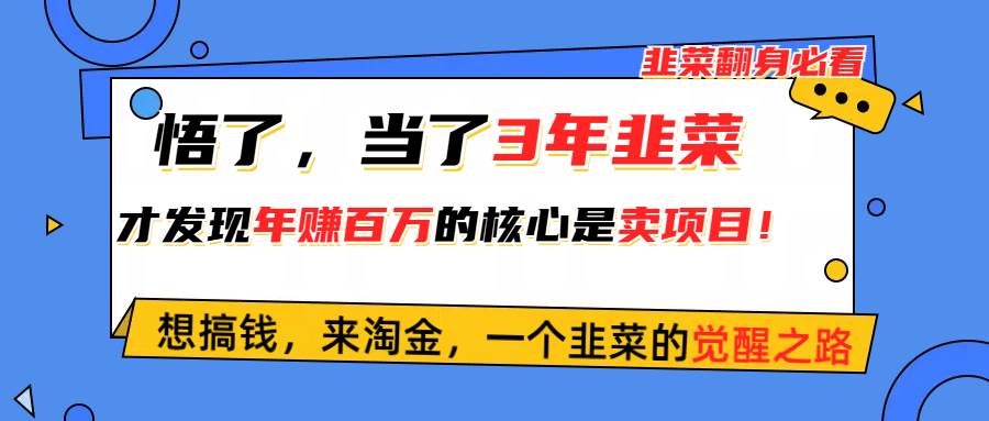 悟了，当了3年韭菜，才发现网赚圈年赚100万的核心是卖项目，含泪分享！-石龙大哥笔记