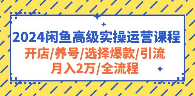 2024闲鱼高级实操运营课程：开店/养号/选择爆款/引流/月入2万/全流程-石龙大哥笔记