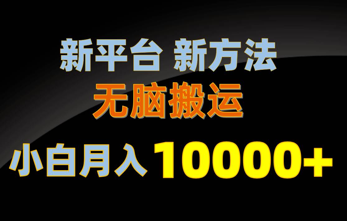 新平台新方法，无脑搬运，月赚10000+，小白轻松上手不动脑-石龙大哥笔记