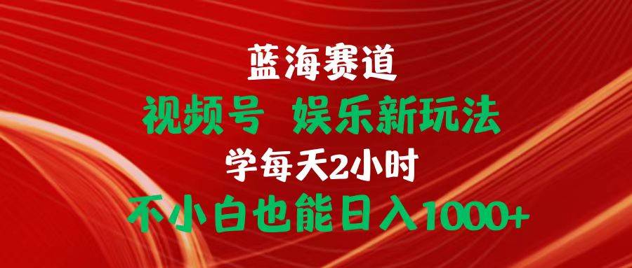 蓝海赛道视频号 娱乐新玩法每天2小时小白也能日入1000+-石龙大哥笔记