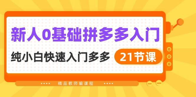 新人0基础拼多多入门，纯小白快速入门多多（21节课）-石龙大哥笔记