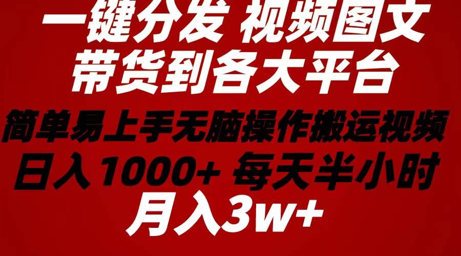 2024年 一键分发带货图文视频  简单易上手 无脑赚收益 每天半小时日入1…-石龙大哥笔记