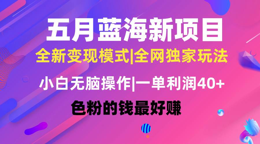 五月蓝海项目全新玩法，小白无脑操作，一天几分钟，矩阵操作，月入4万+-石龙大哥笔记