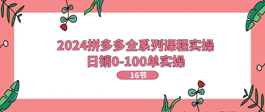 2024拼多多全系列课程实操，日销0-100单实操【16节课】-石龙大哥笔记