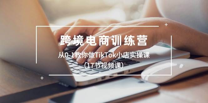 跨境电商训练营：从0-1教你做TikTok小店实操课（17节视频课）-石龙大哥笔记