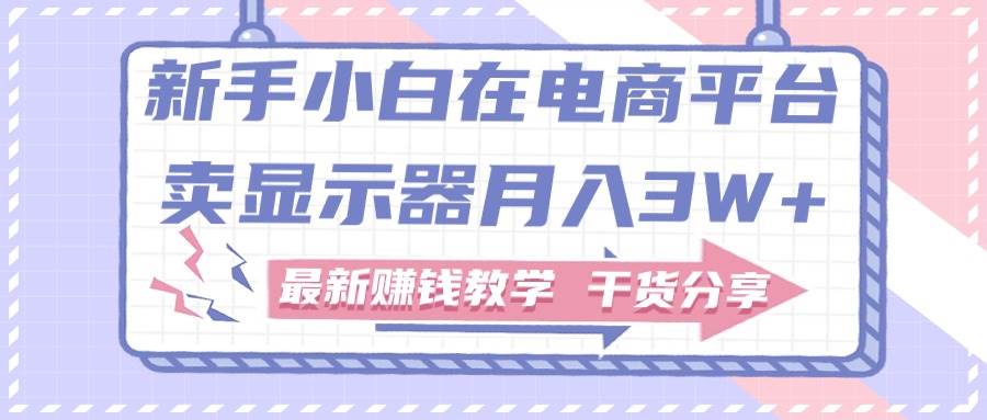 新手小白如何做到在电商平台卖显示器月入3W+，最新赚钱教学干货分享-石龙大哥笔记