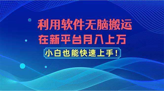 利用软件无脑搬运，在新平台月入上万，小白也能快速上手-石龙大哥笔记