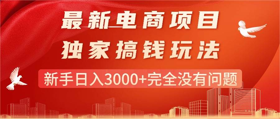 最新电商项目-搞钱玩法，新手日入3000+完全没有问题-石龙大哥笔记